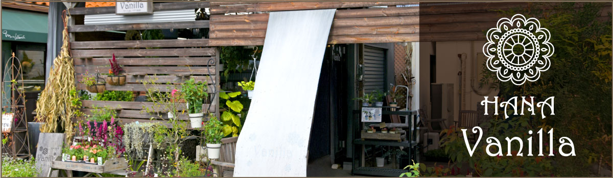 HANA Vanilla