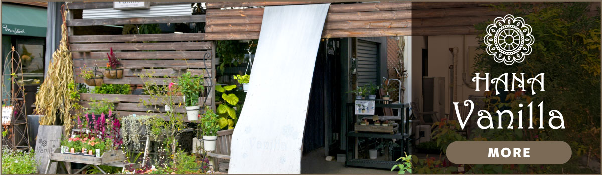 Hana Vanilla